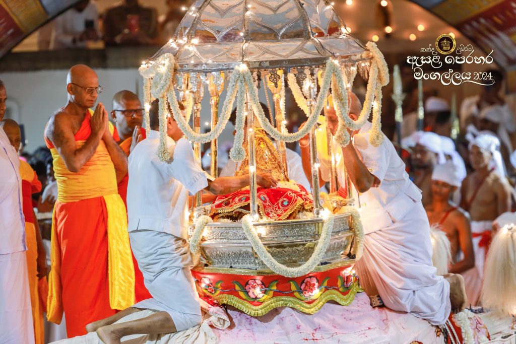 0y1a0728 11zon scaled