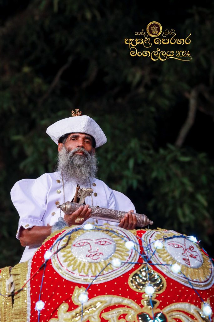 0y1a2623 11zon scaled