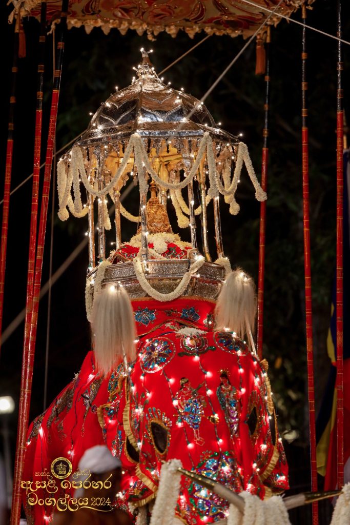 0y1a7695 11zon scaled