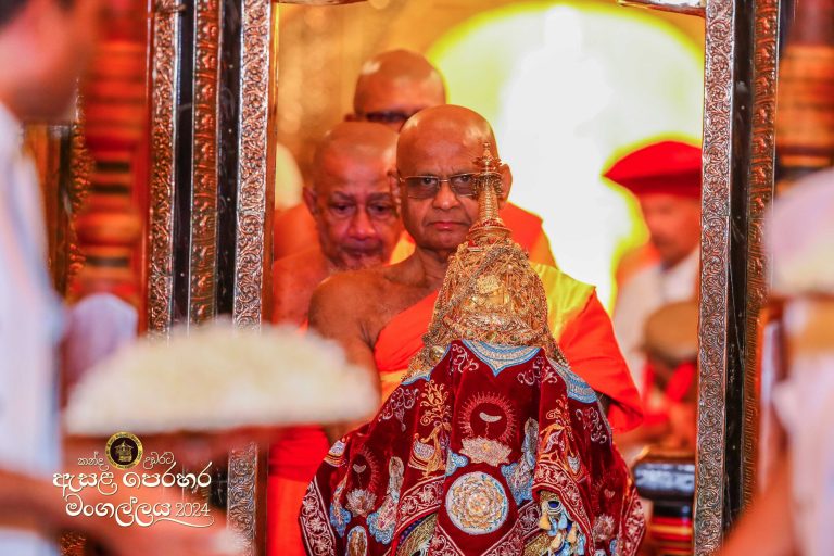 1dx18617 2 11zon scaled