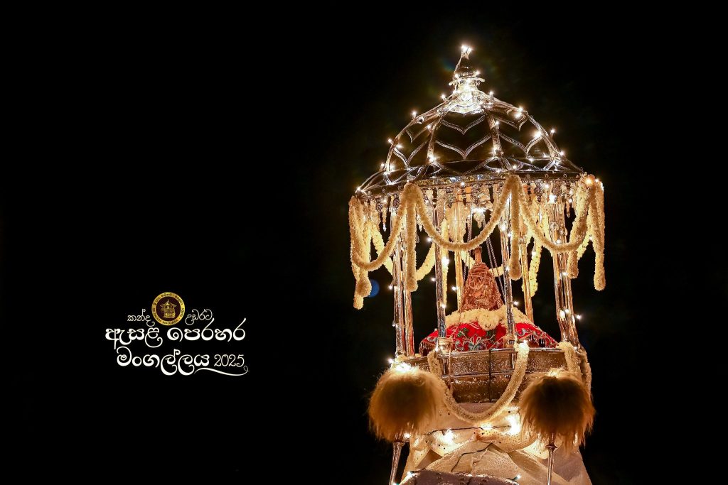 525241257 1179176724253677 4527056448664837459 n