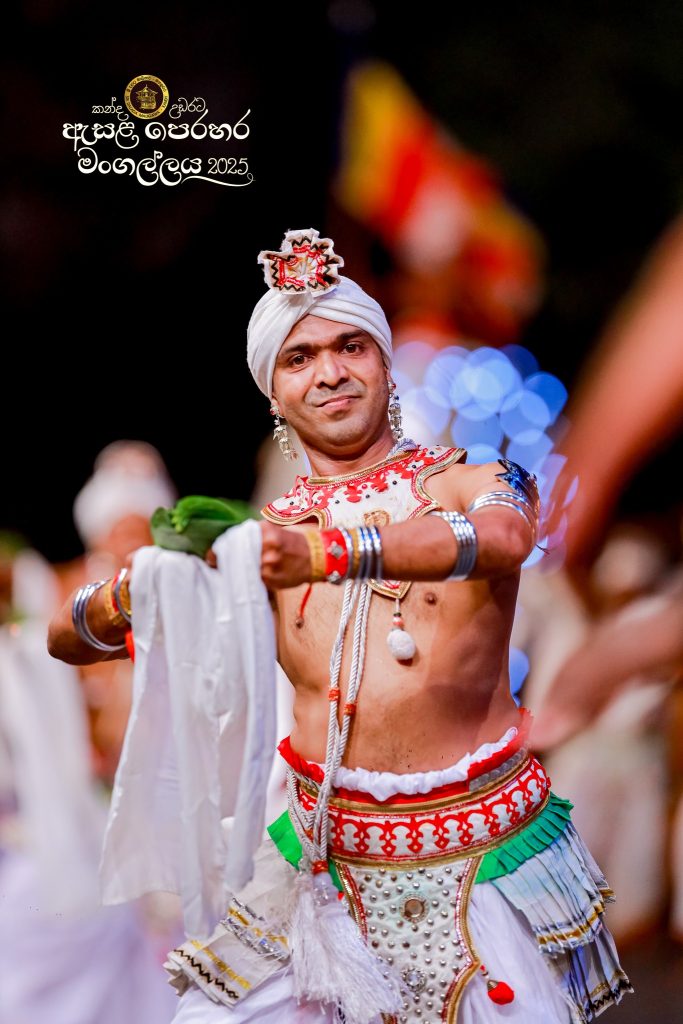 525251271 1179176757587007 8251554993114017162 n