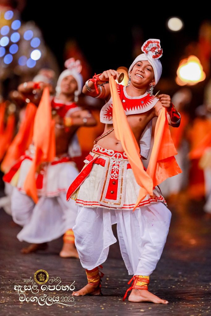 525308310 1179176944253655 3076500648757108391 n