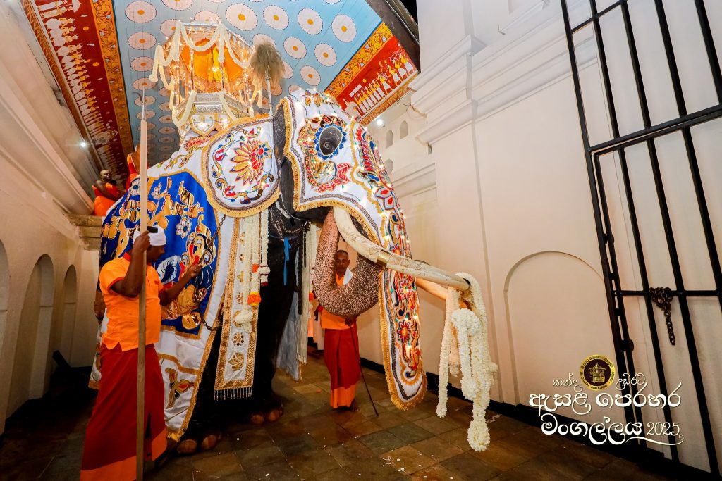 525393903 1180855550752461 1860950078570075219 n