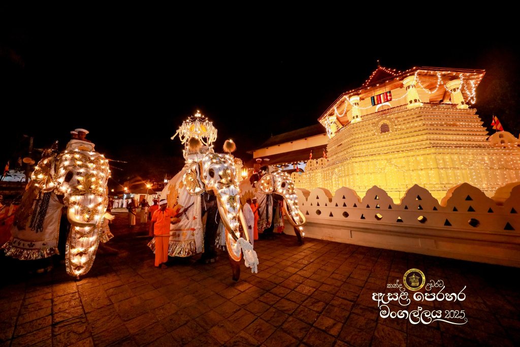 525732611 1180053974165952 698758302770368711 n