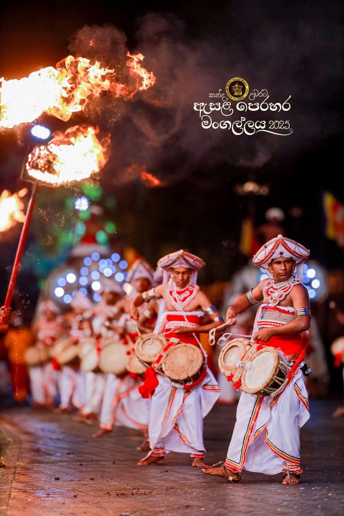 525785088 1179176834253666 8994812136332520814 n