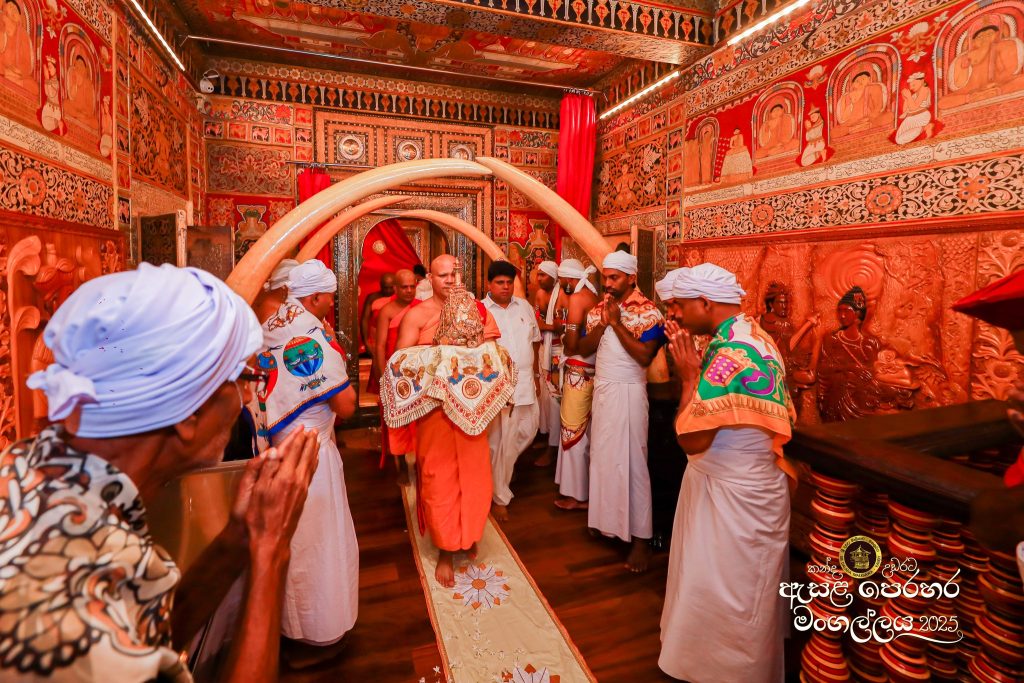 525995828 1180053784165971 8197015579668360191 n