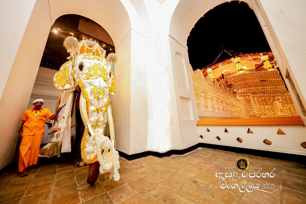 526099966 1180053940832622 2638577233361104446 n