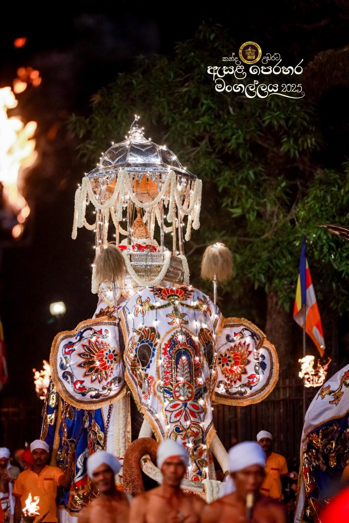 526137916 1180855824085767 2056186634867883876 n