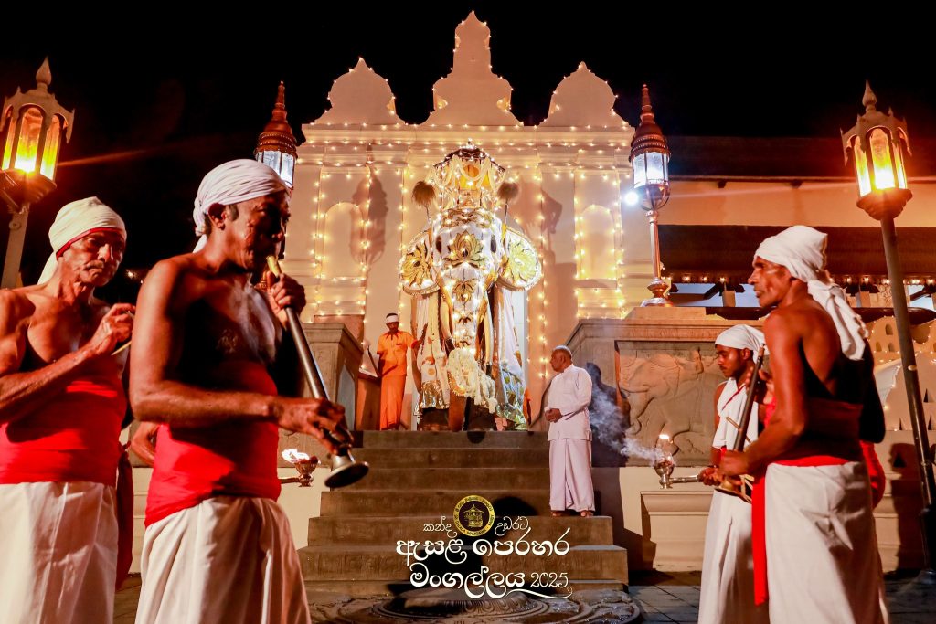 526181805 1180053870832629 2110903144377515519 n