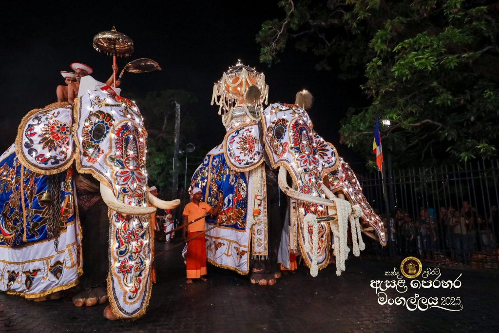 526213207 1180855980752418 7937228997914251145 n