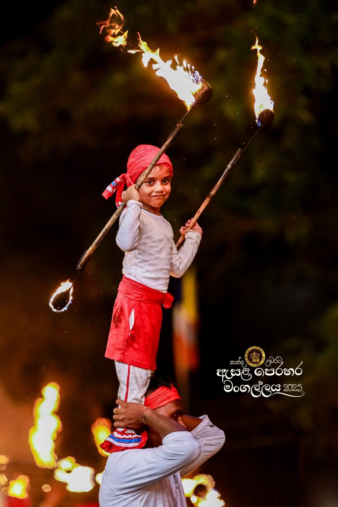 526462312 1179176640920352 9120007750359096461 n