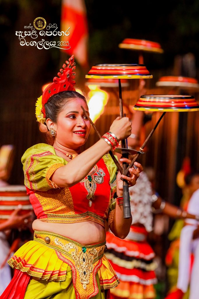 526607592 1179176814253668 2686001269229845877 n