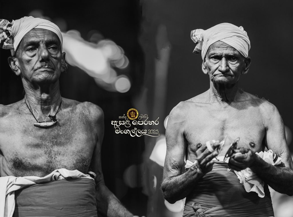 526611255 1180053734165976 2640980254792206379 n