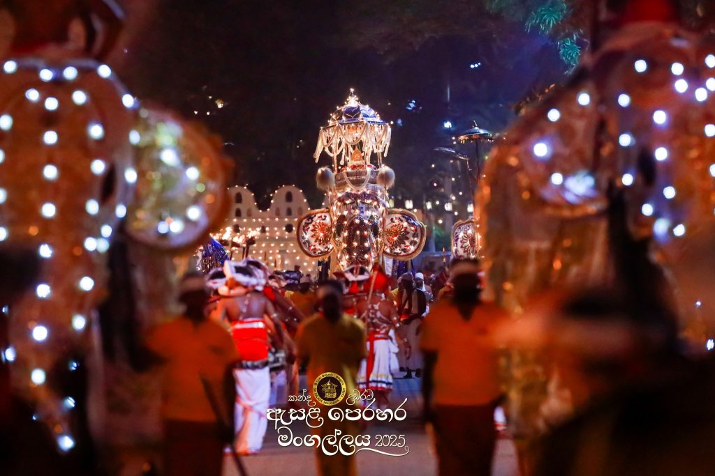 526637846 1180855647419118 296308368065758232 n