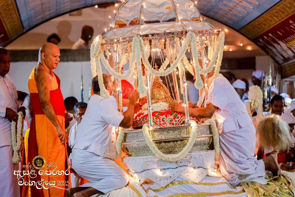 526658099 1180054084165941 6535419570387618164 n