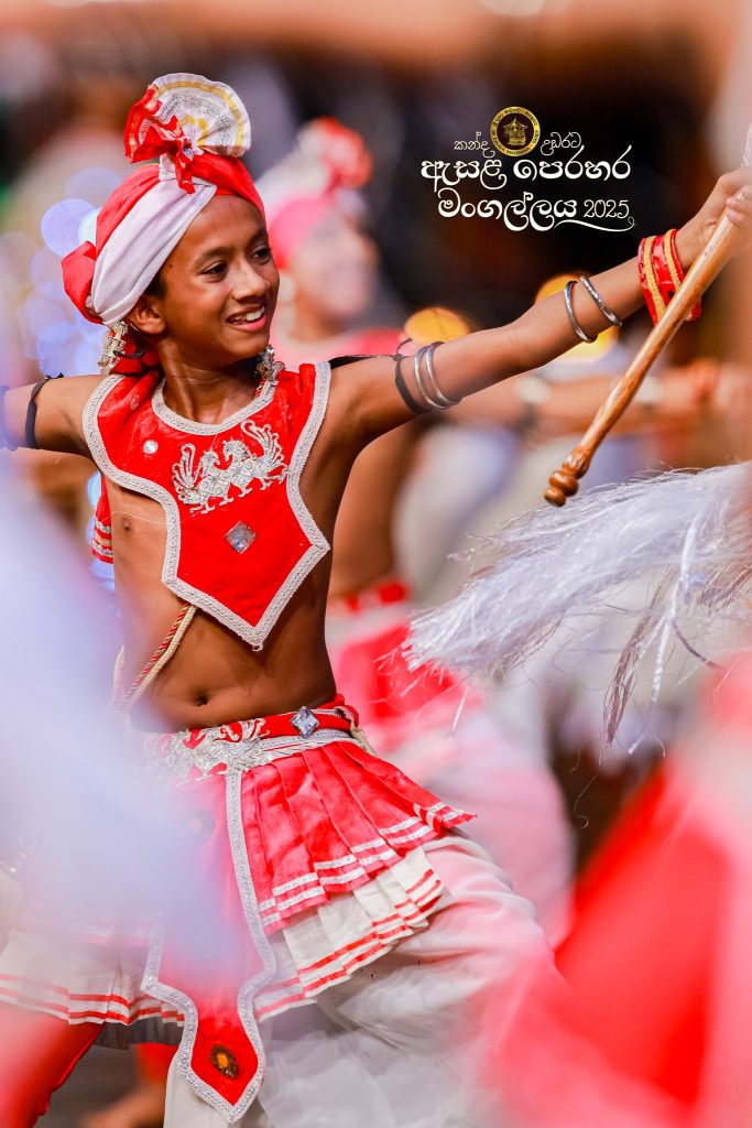 526926812 1180053830832633 6504976533001656778 n