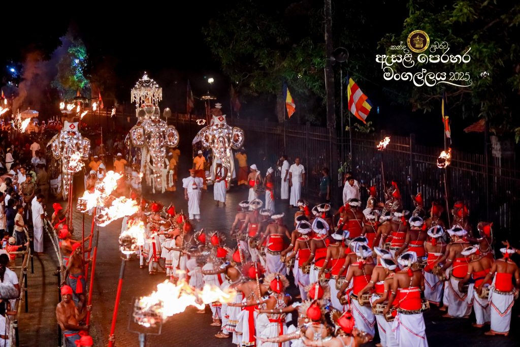 526948976 1180855760752440 2317021540780273000 n