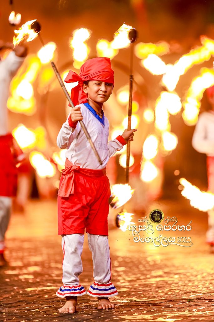 527033279 1181804537324229 6226275722329980492 n