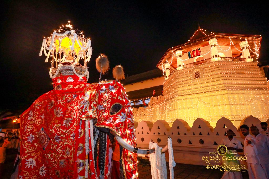 527057879 1183584350479581 7654272810972259463 n