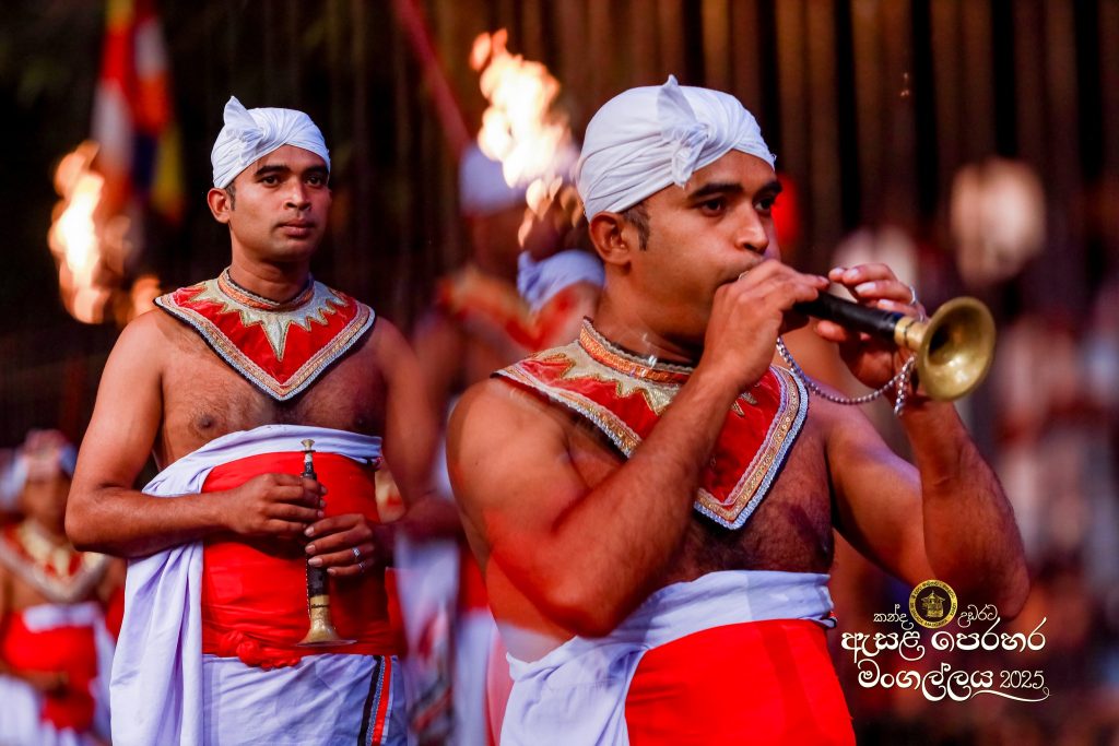 527334016 1180855627419120 5325814917896011207 n