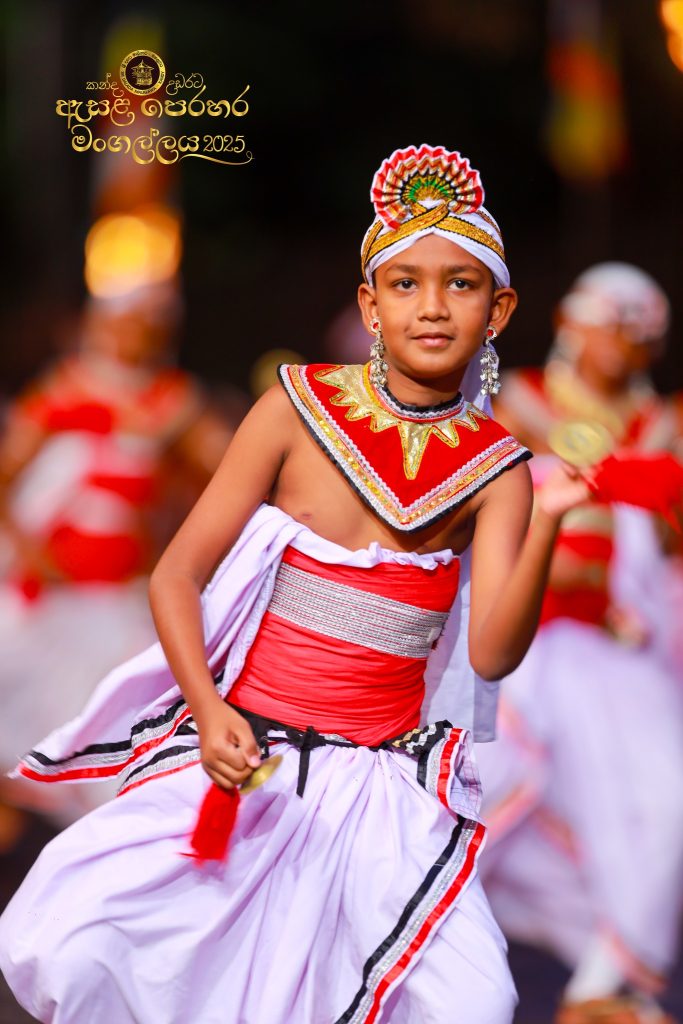 527778674 1183584050479611 5198015522253001426 n