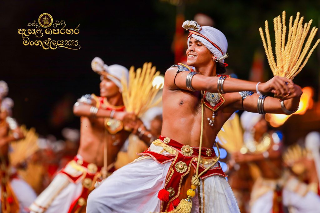 527799798 1184475780390438 8227532829104051616 n