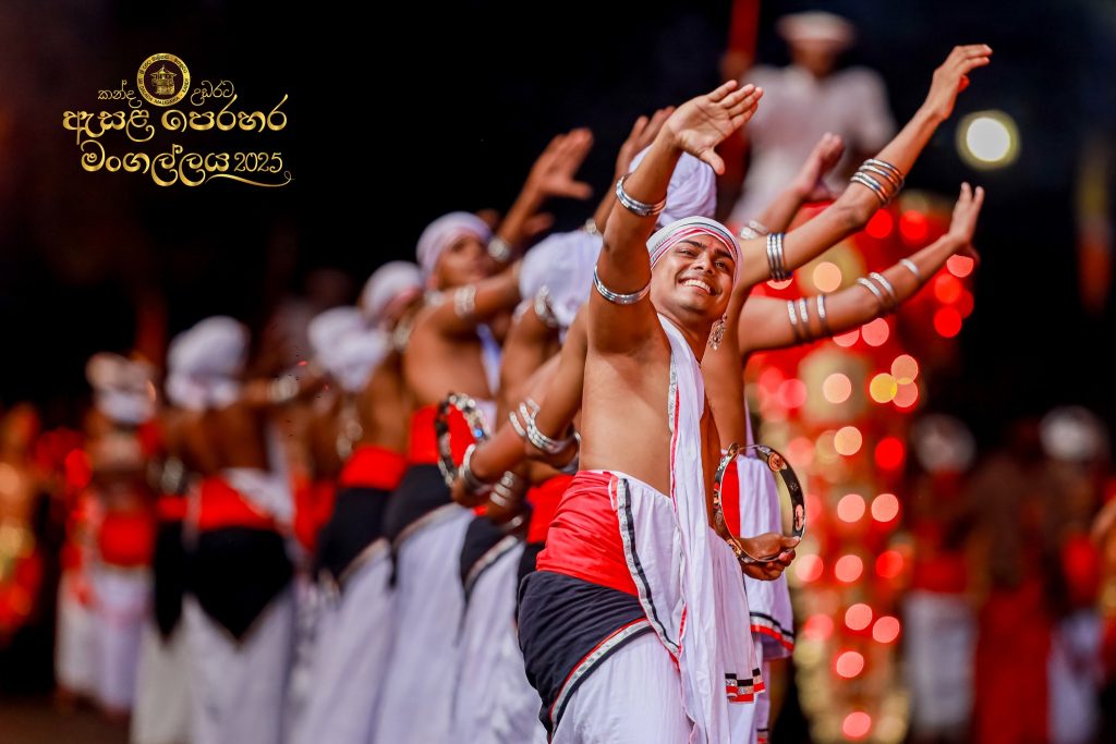 528007258 1184475500390466 4118370640502932581 n