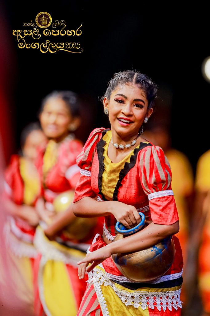 528082534 1184475467057136 1515940473817688798 n