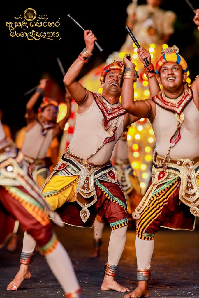 528200990 1183583847146298 3596076885008665762 n