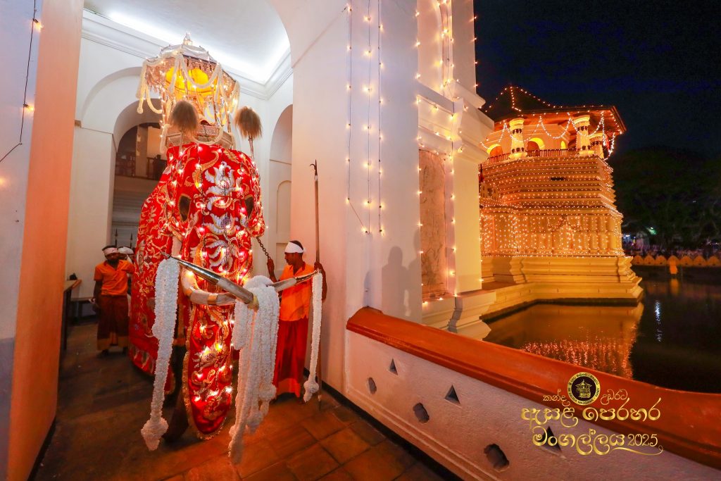 528200990 1183584150479601 1151509913874020061 n