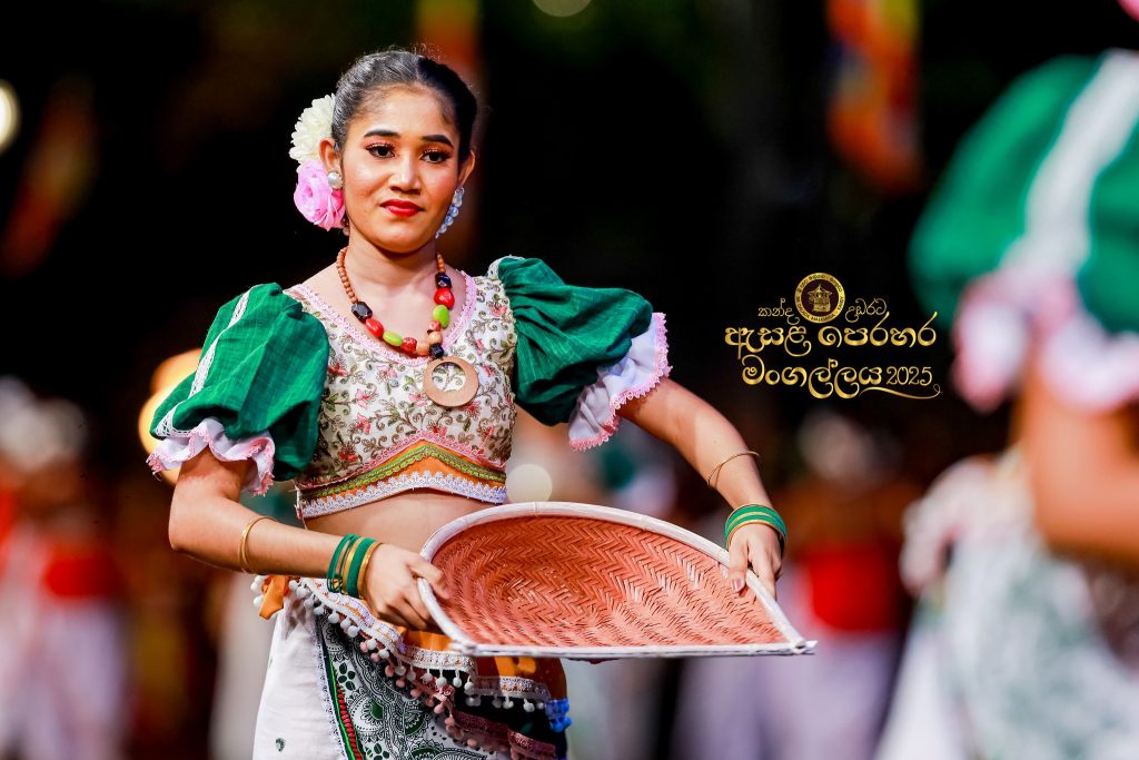 528292535 1184475553723794 7735020343352897520 n