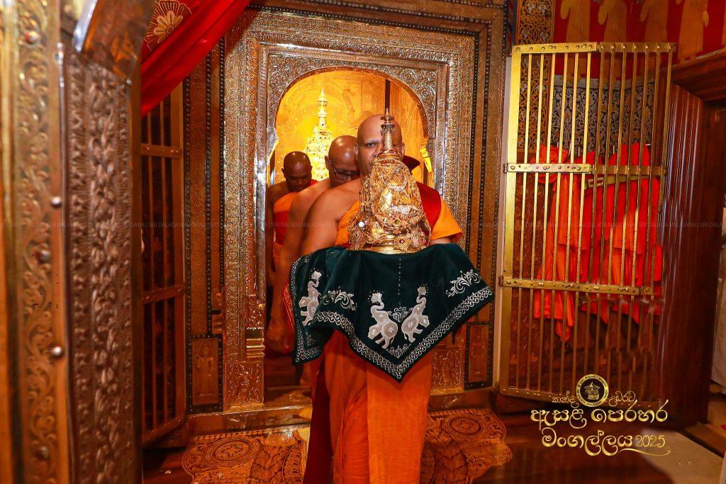 528582449 1184475440390472 4253732430809584164 n