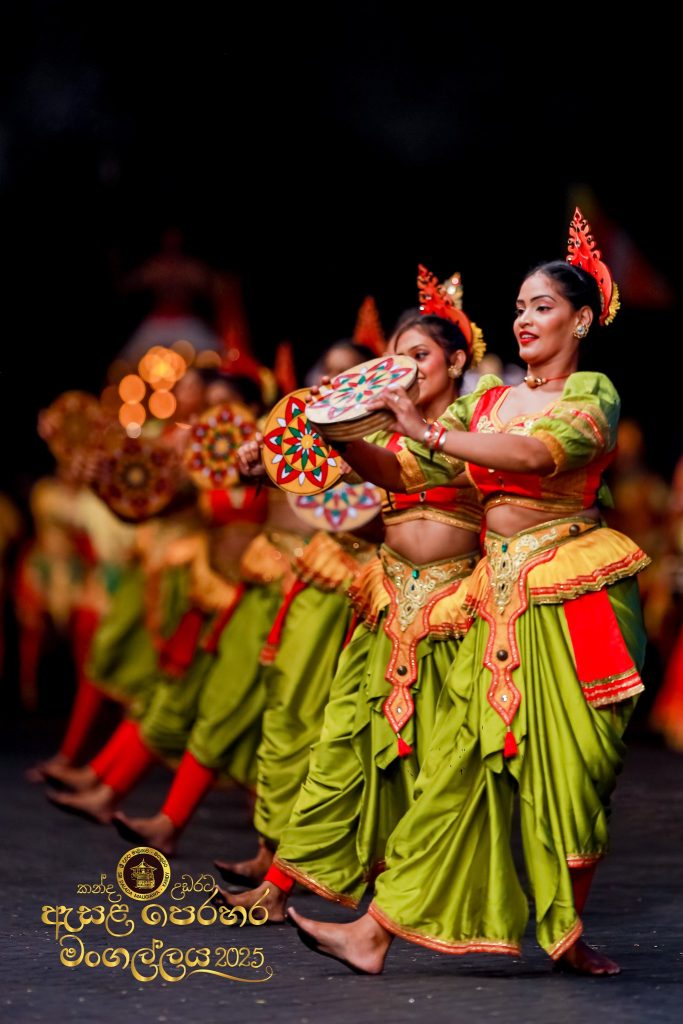 528703472 1184476933723656 2809987271918468080 n