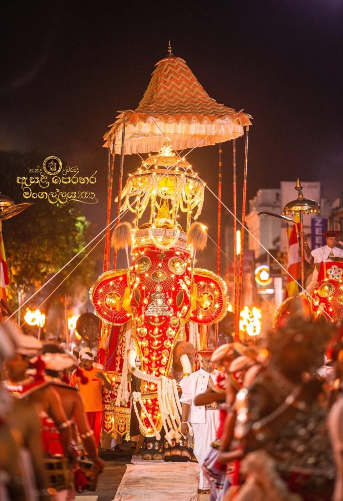 529243709 1186328013538548 1539866073808087572 n