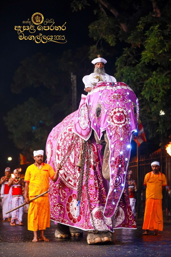 529267356 1184475893723760 8638694354901326883 n