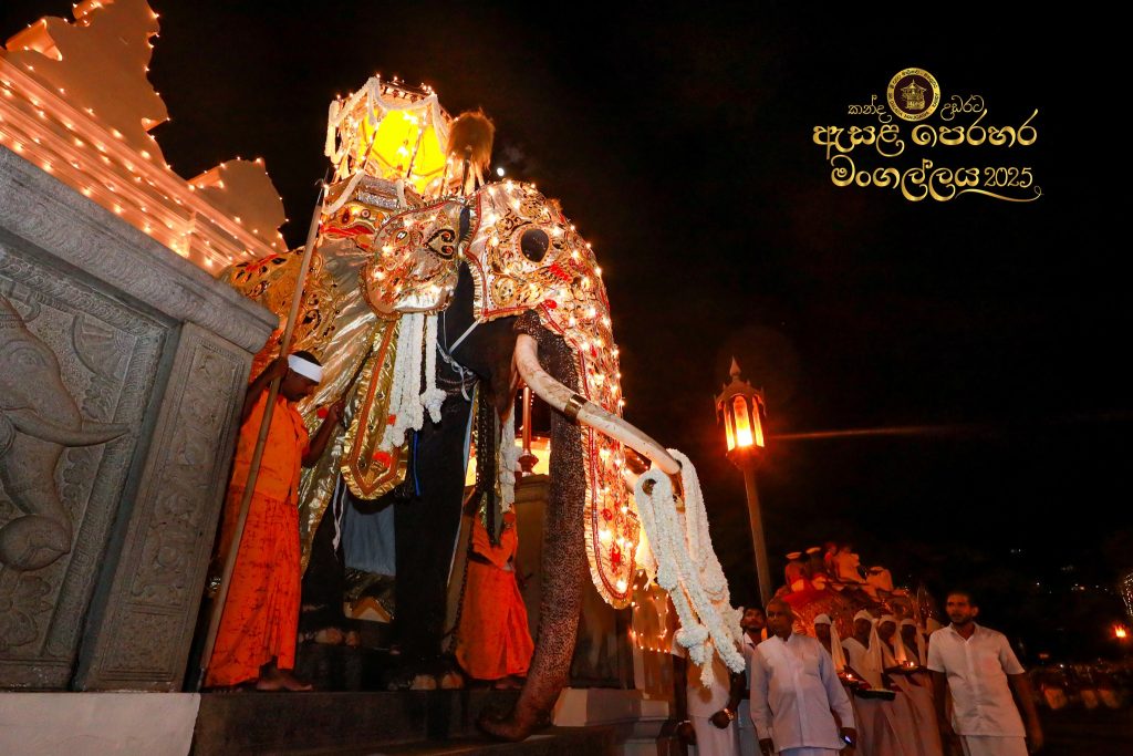 529293912 1184475600390456 6944234837565332584 n