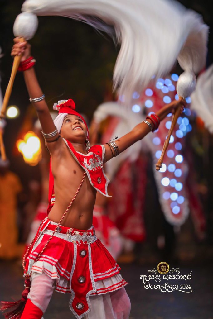 ac0i8051 11zon scaled