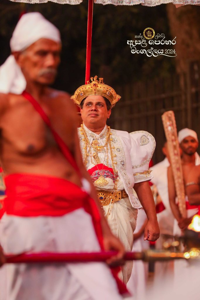 ac0i8201 11zon scaled