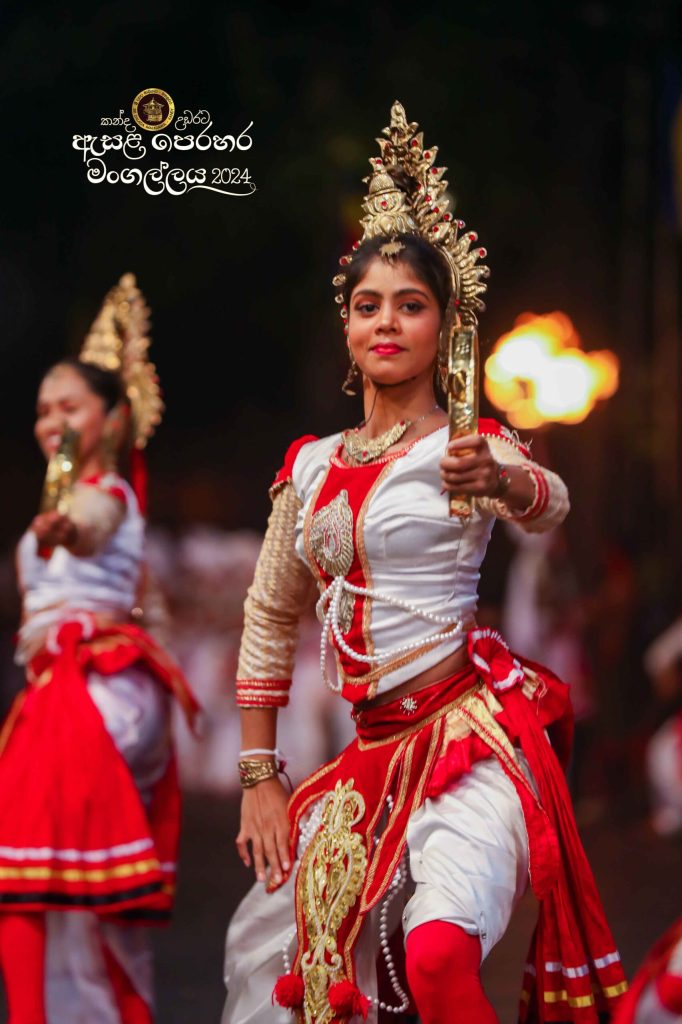 ac0i8452 11zon scaled