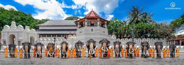 The Fleet of Tuskers of the Temple of Tooth Relic