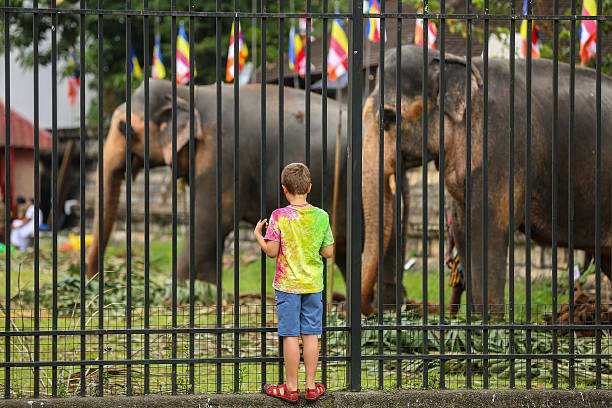 gettyimages 2228568049 612x612