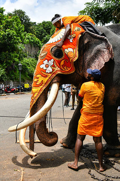 gettyimages 2228568172 612x612