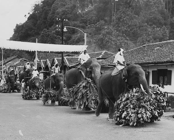 gettyimages 592659137 612x612