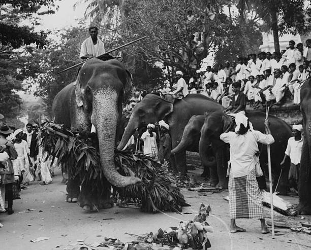 gettyimages 592659529 612x612