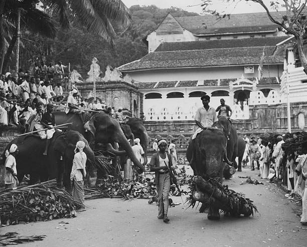 gettyimages 592659533 612x612