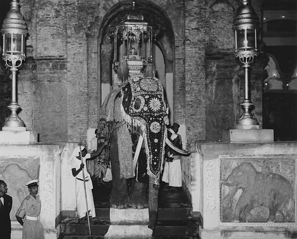 gettyimages 615149225 612x612