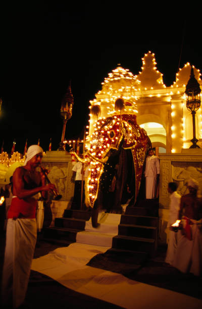 gettyimages 80897612 612x612