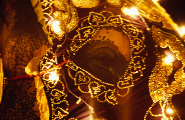 gettyimages 80897614 612x612