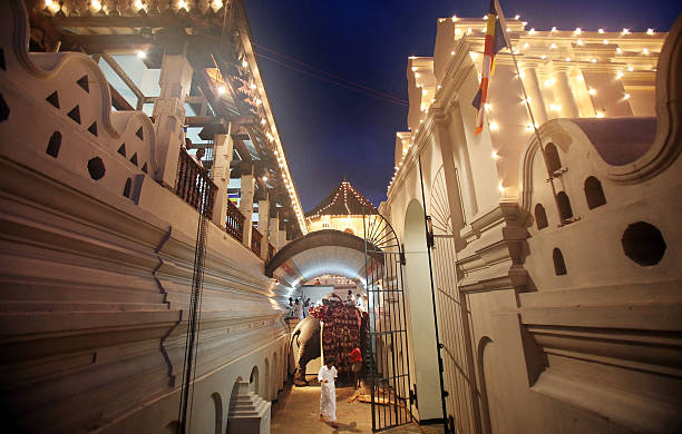 gettyimages 89288411 612x612